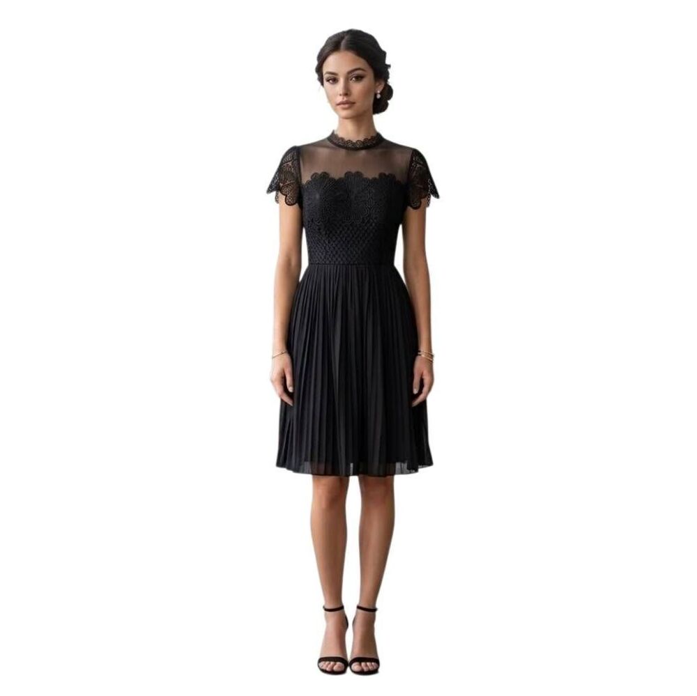 Zara Black Lace Illusion Pleated Midi Dress Size S